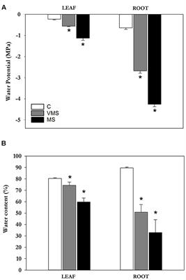 Drought Stress Causes a Reduction in the Biosynthesis of Ascorbic Acid in Soybean Plants